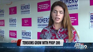 Mural in favor of Prop 205 is defaced