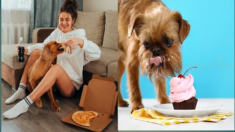 Dog Eats The Crunchiest Foods // Funny Doggy // funny dog video