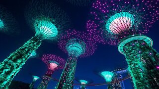 Singapore Garden Rhapsody. Must watch!