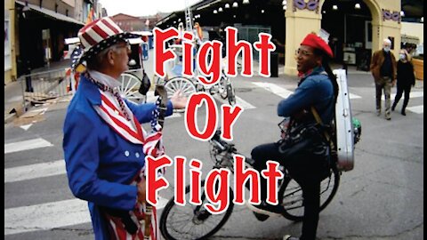 Fight Or Flight