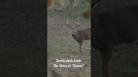 Encounter with my Biggest Buck Ever!! Watch “Caesar” NOW on our Channel!