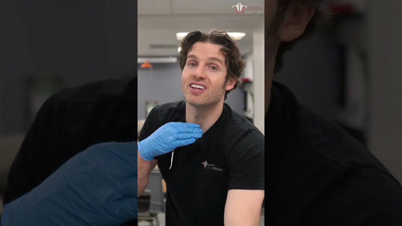 Food Going Down the Wrong Tube