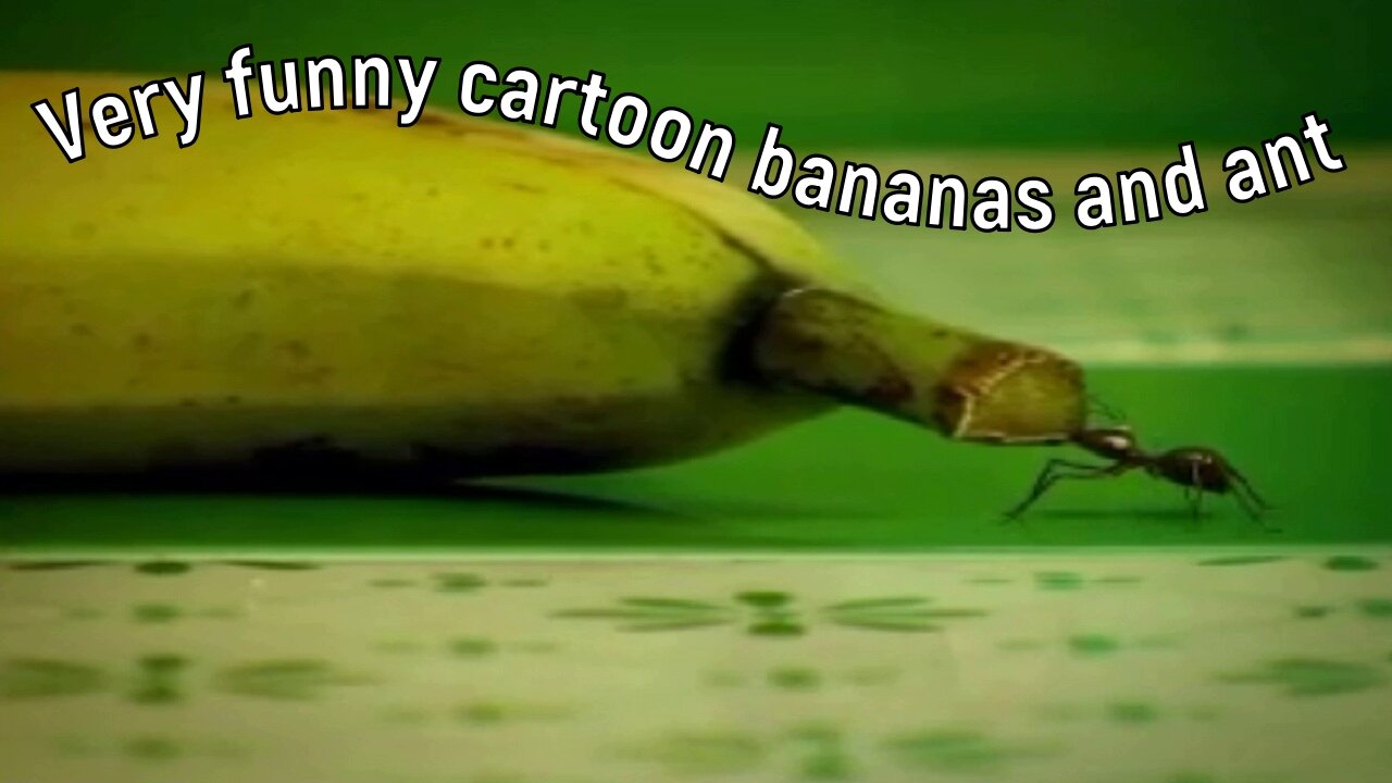 Very funny cartoon bananas and ant