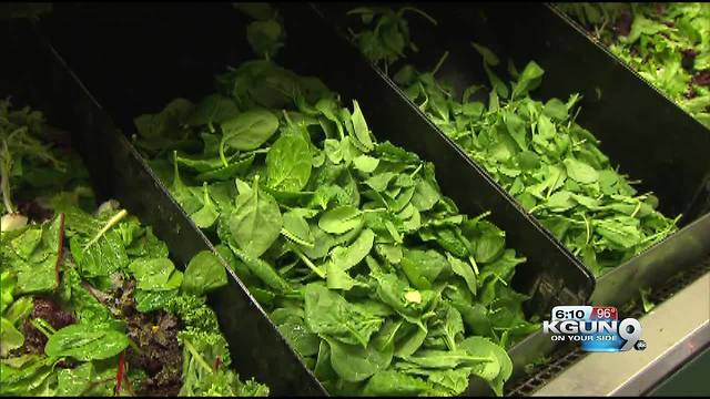UA research aims to remove bacteria from produce, meat