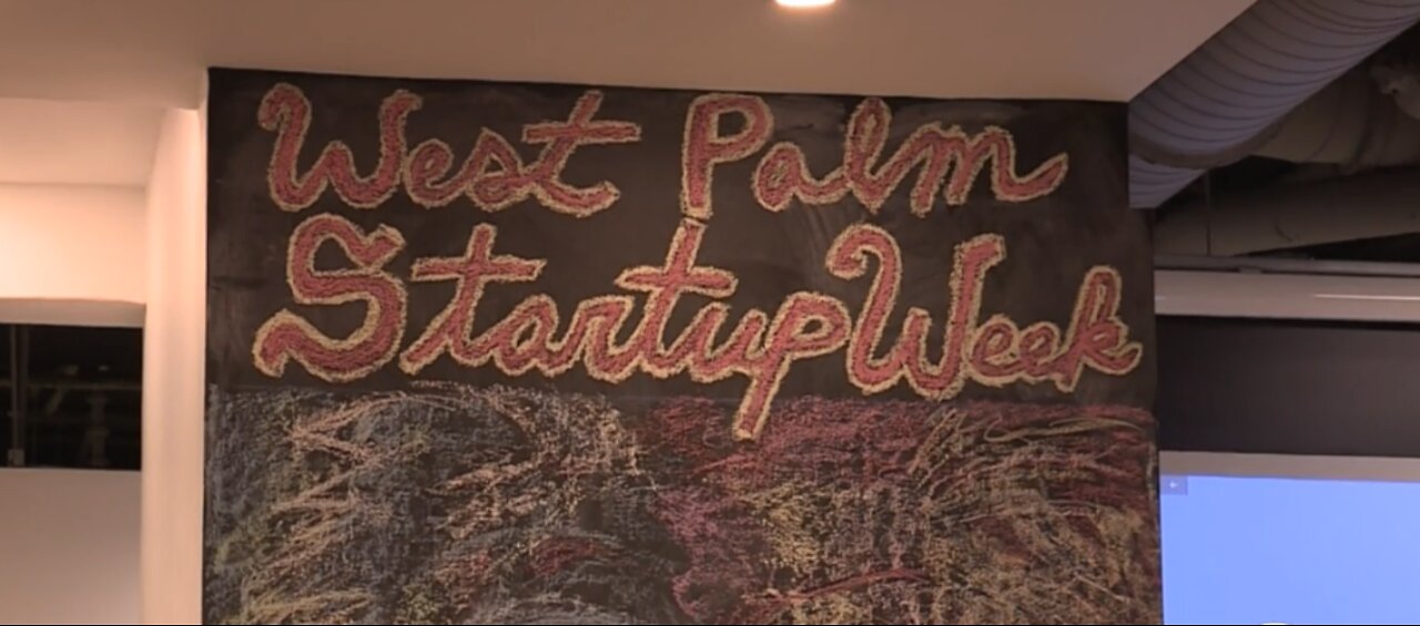 Support for Palm Beach start ups