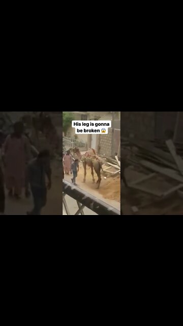 HIS LEG IS GONNA BE BROKEN