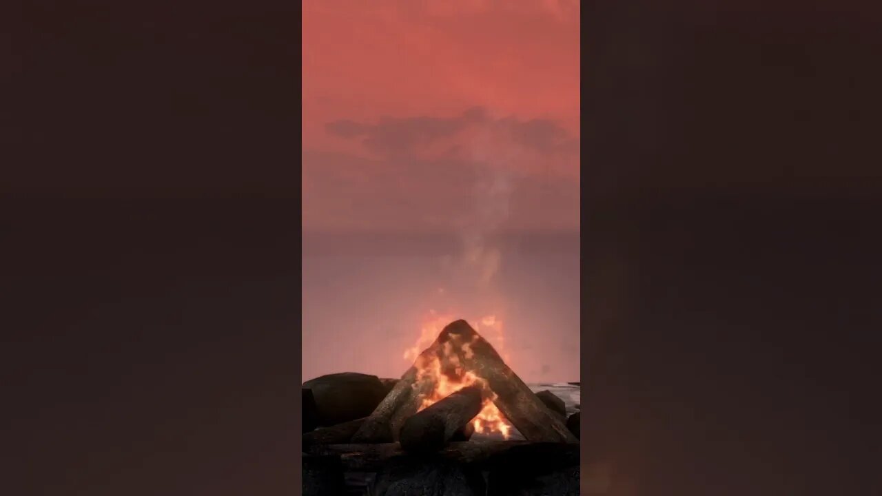 Ep.30 S.1 - Relax, Sleep, Study, Work with Ocean Overlook Campfire #shorts