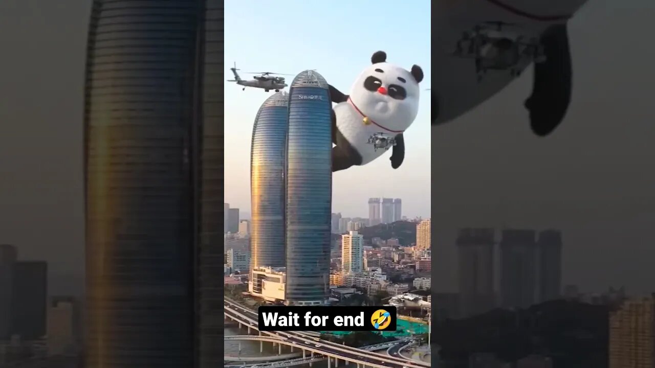 Panda vs Helicopter 🐼🤣 #shorts #comedy #comedyshorts