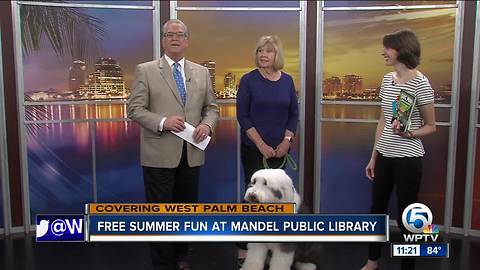 Free, fun educational activities