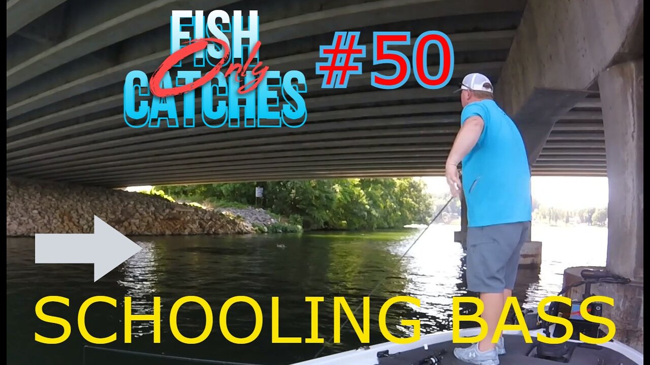 I'm Back...Under The Bridge Schooling Bass!!!