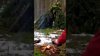 Winter Survival Shelter & Eggs! Primitive Technology