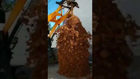 Satisfying