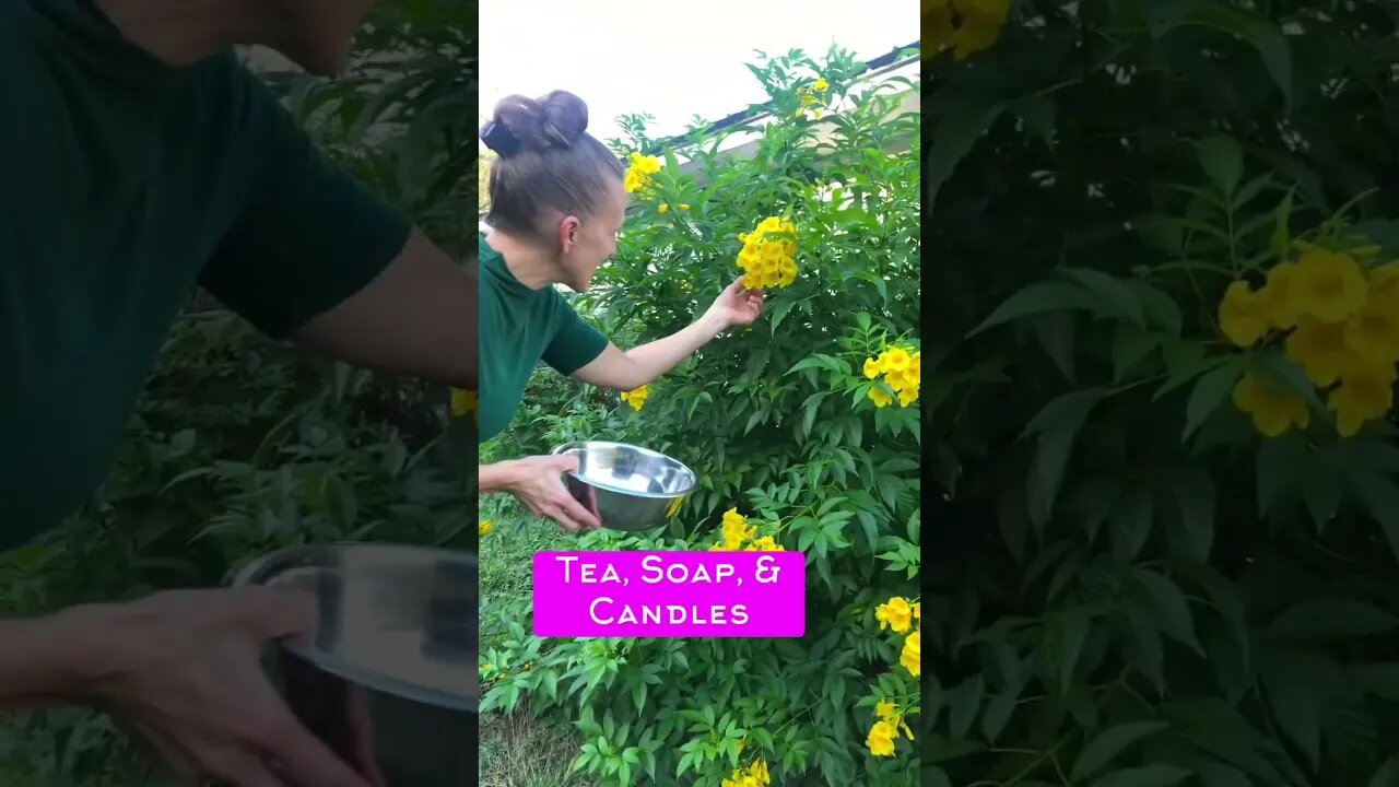 Fresh Scent of Homemade- Tea, Soap, and Candles☕️🧼🕯#shorts #tiktok #viral #trending