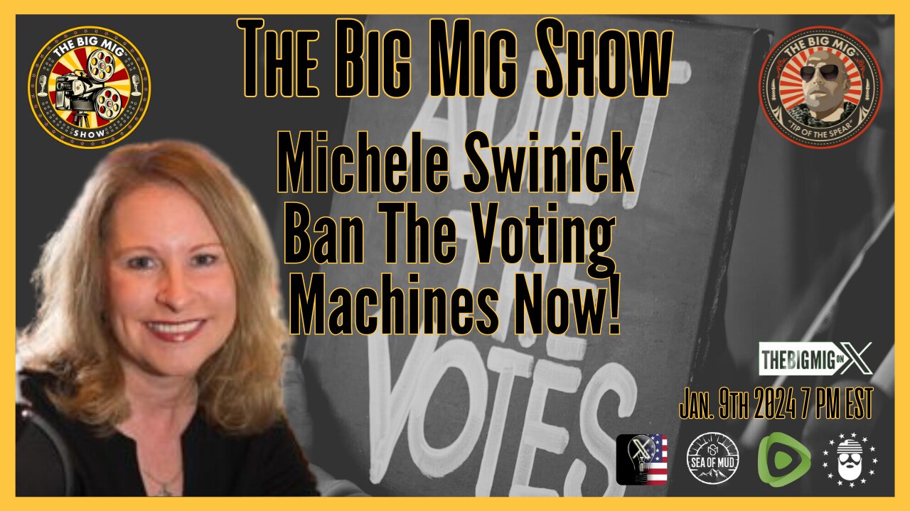 Michele Swinick, Ban the Voting Machines Now! |EP197