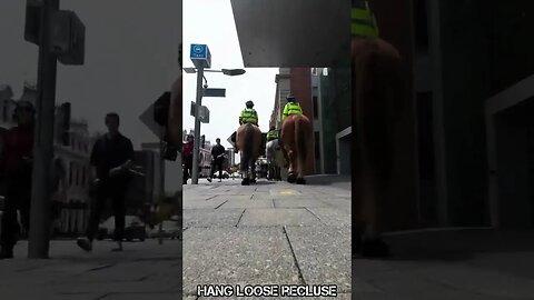 Police Horse Takes a Dump