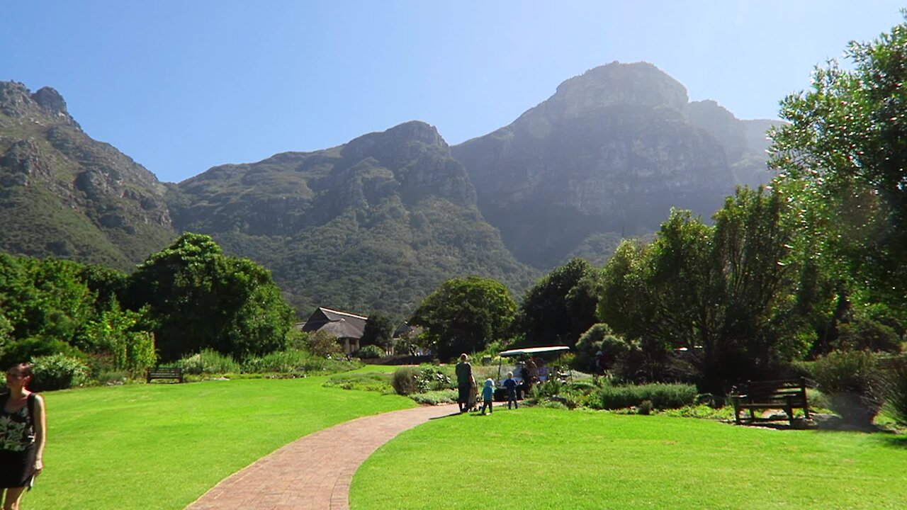 SOUTH AFRICA - Cape Town - Kirstenbosch National Botanical Garden (Video) (Swy)