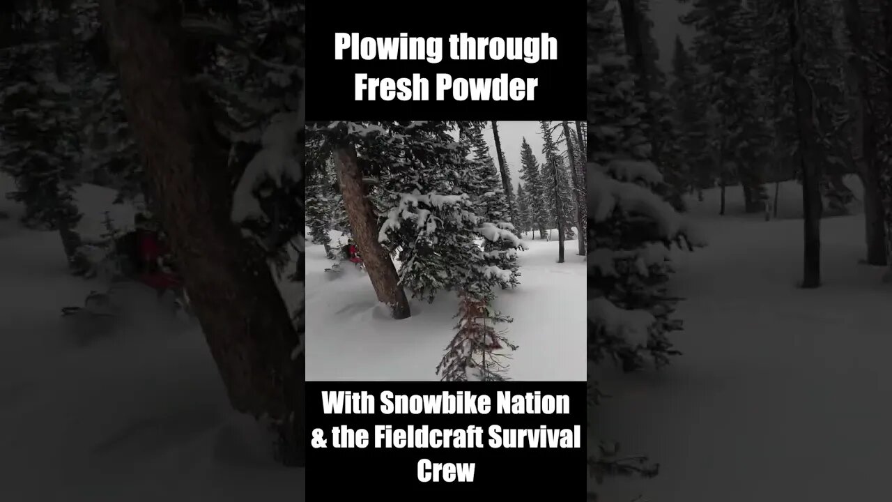 Fresh powered with SnowBike Nation