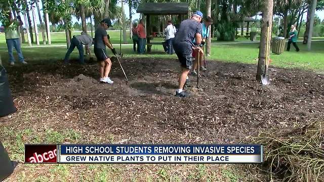 Coastline Restoration Project removes invasive plants, replaces with 500 native plants