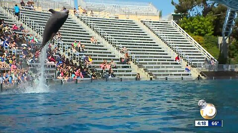 SeaWorld denies PETA allegations of dolphin abuse