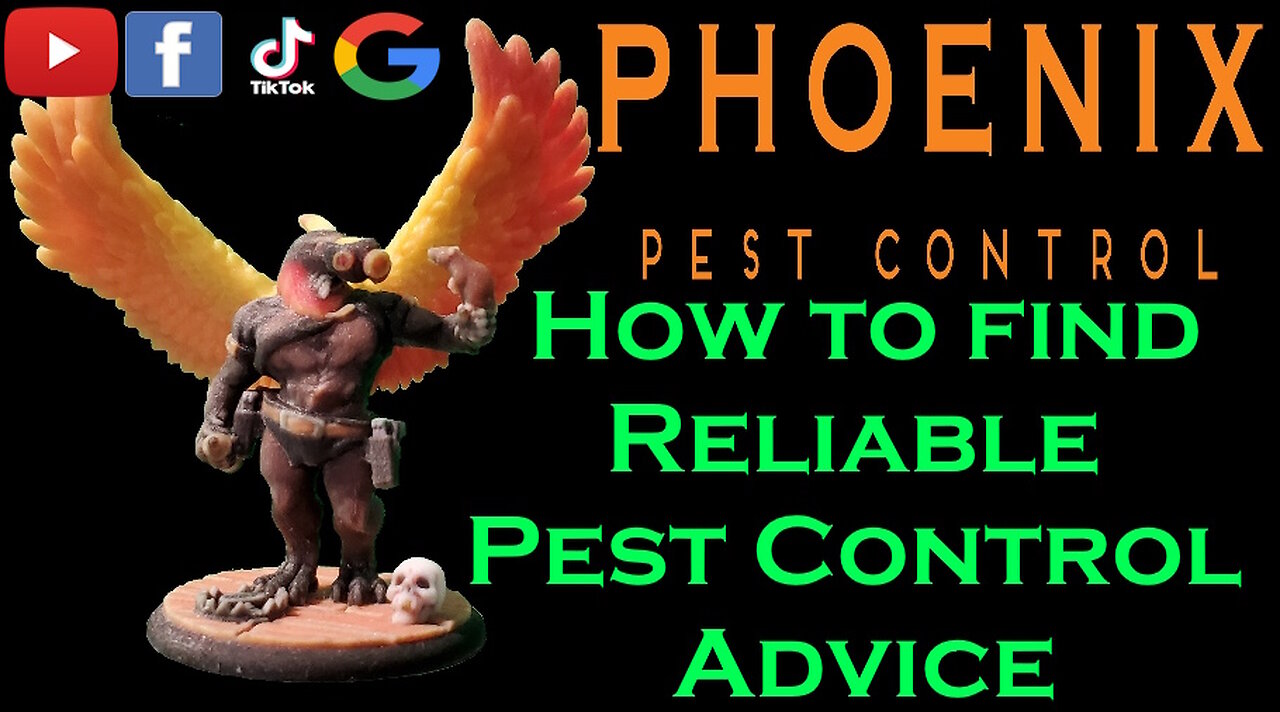 How to find Reliable Pest Control Advice