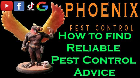 How to find Reliable Pest Control Advice