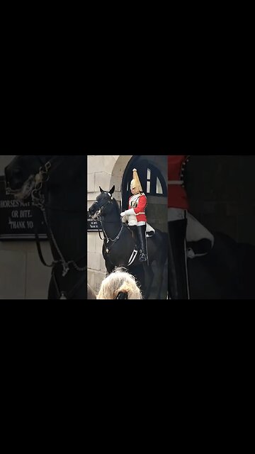 Horse spins out of the box #horseguardsparade