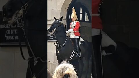 Horse spins out of the box #horseguardsparade