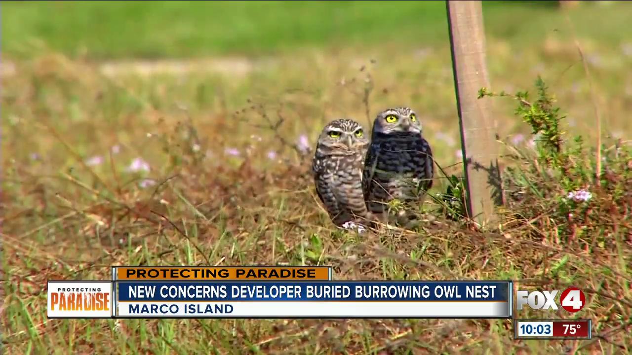 Environmental group upset with developer for putting dirt on owl's nest