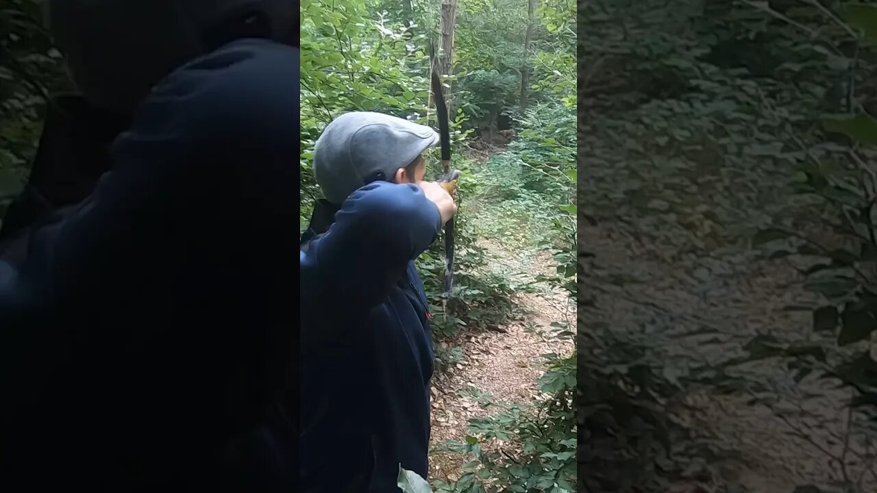 45LBS Turkish Style Bow, From Alibow 3D Field Archery #archery