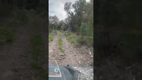 55.5 seconds of ass cracking trail.