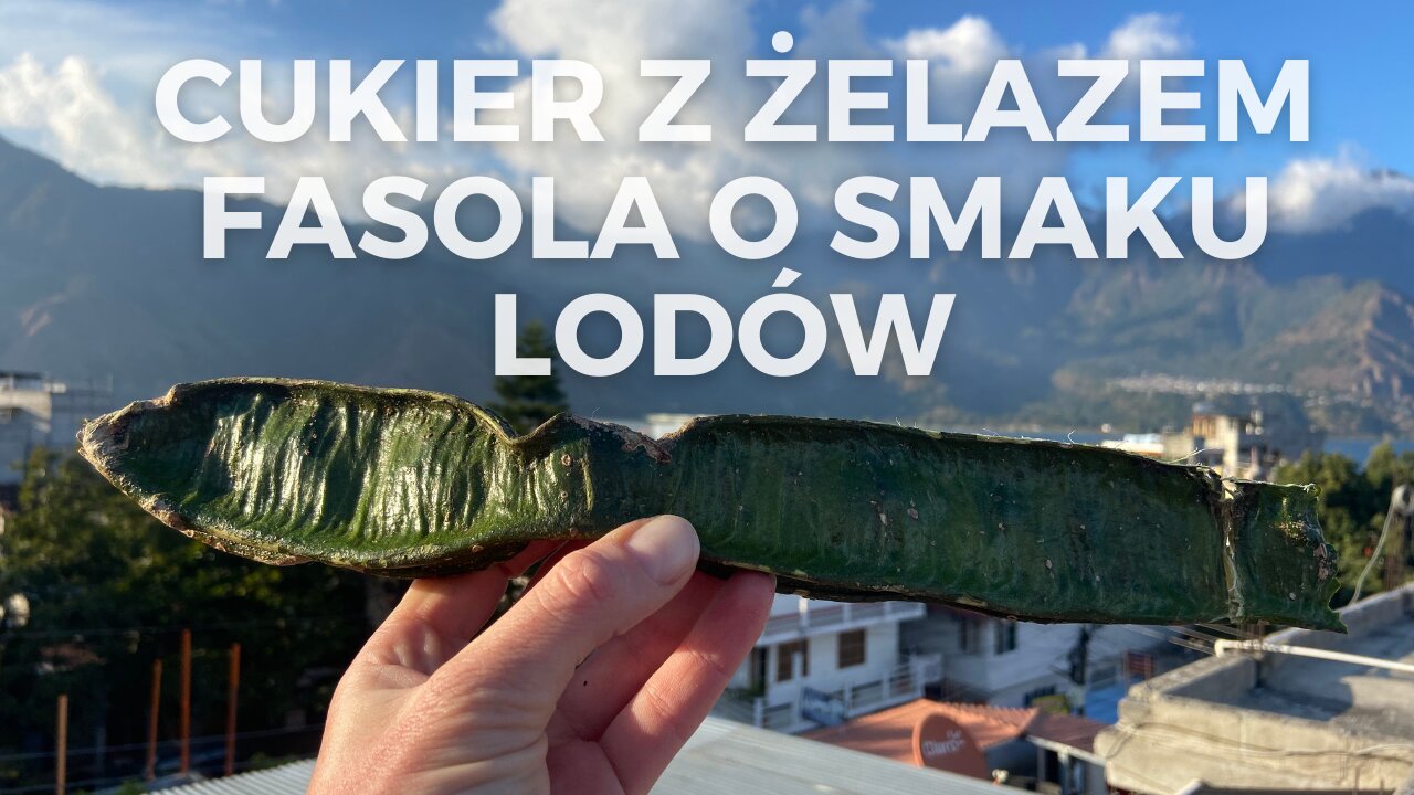 CUKIER Z ŻELAZEM I FASOLA INGA O SMAKU WATY CUKROWEJ i LODÓW WANILIOWYCH⏐GWATEMALA 2022