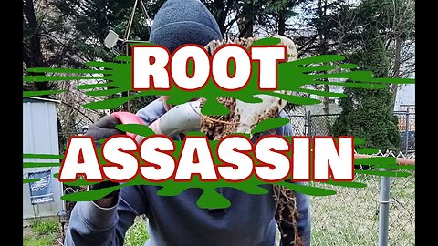 A Shovel With Teeth, whats not to love, Root Assassin