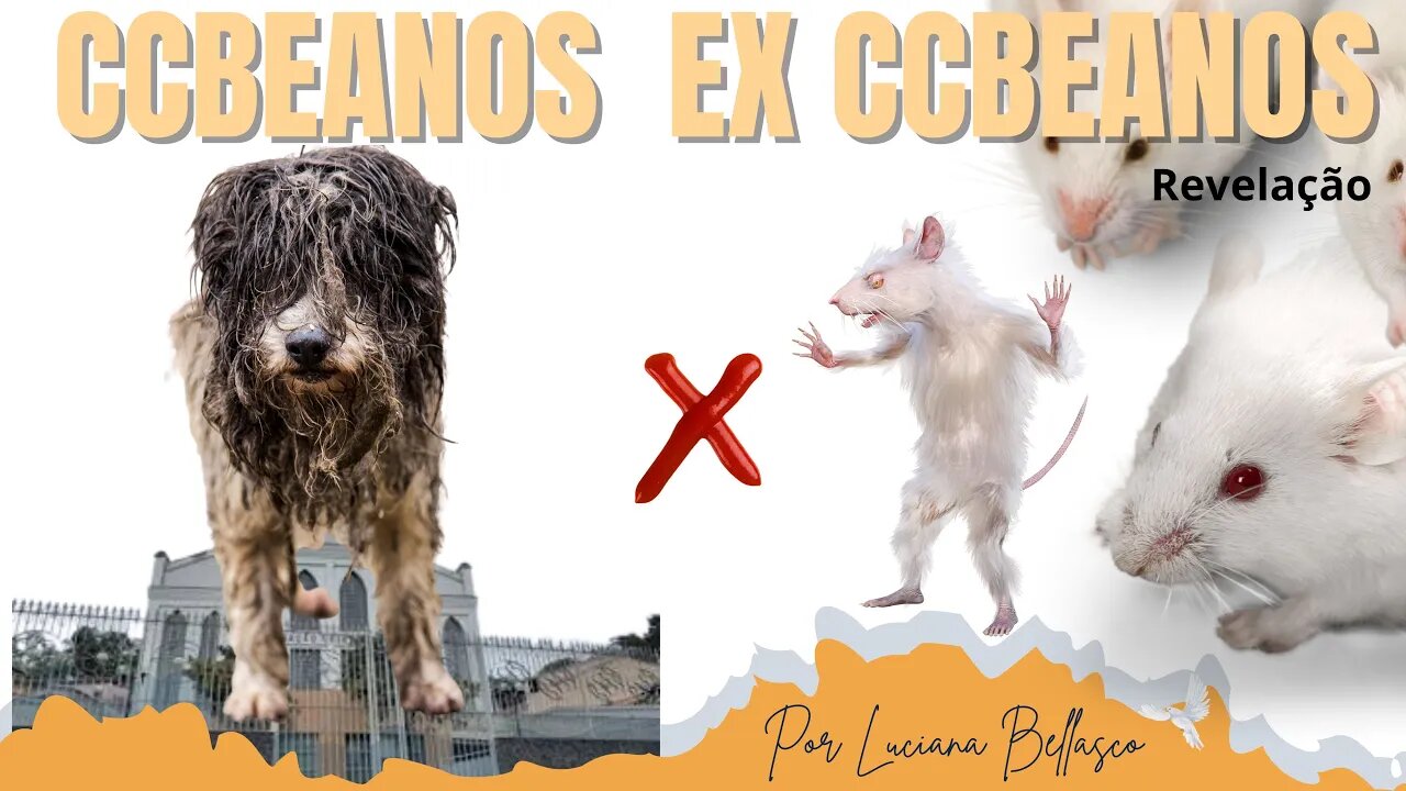 Revelação: Ex CCBEANOS E CCBEANOS.