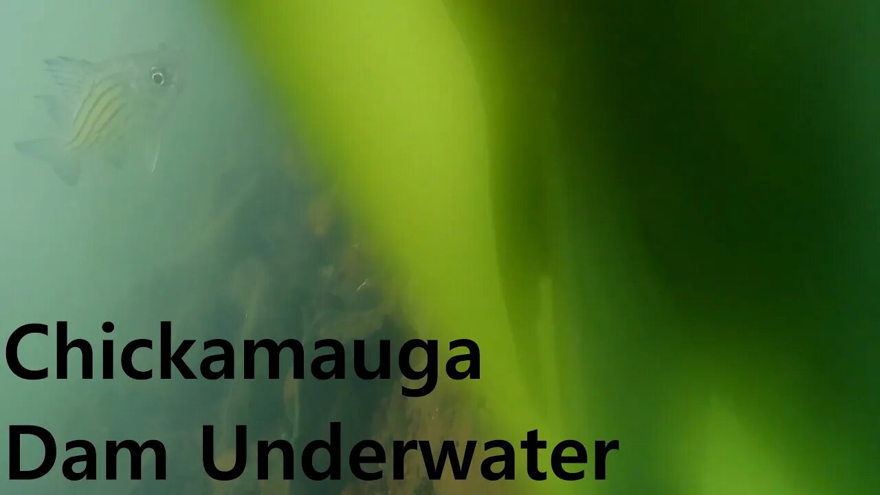 Chickamauga Dam Underwater Footage only