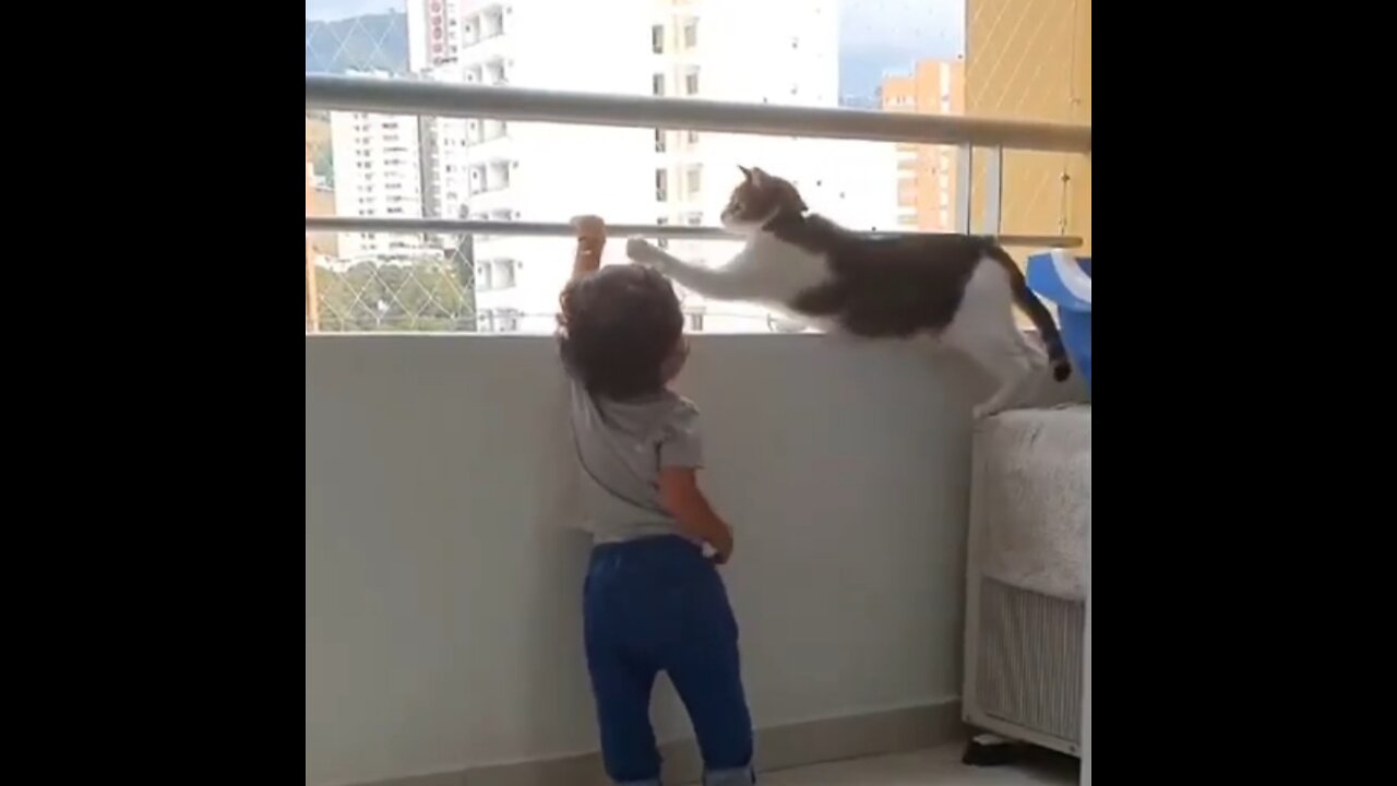 Cat saves baby life