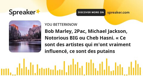 Bob Marley, 2Pac, Michael Jackson, Notorious BIG ou Cheb Hasni. « Ce sont des artistes qui m'ont vra