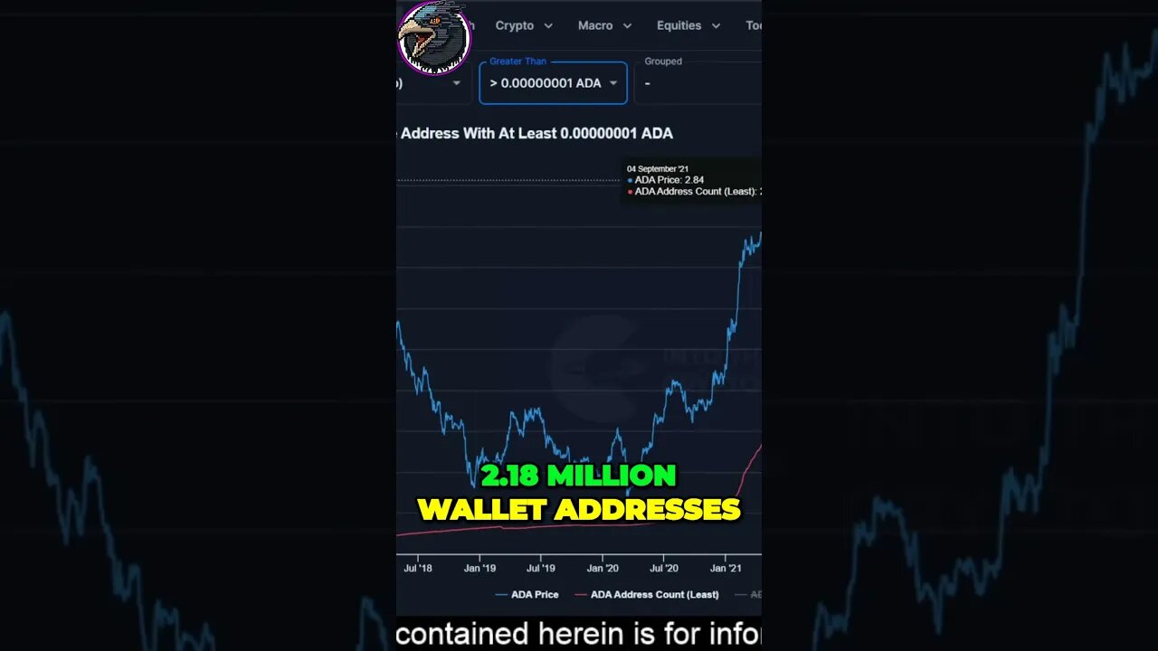 Cardanos Explosive Growth Unbelievable Wallet Increase Revealed