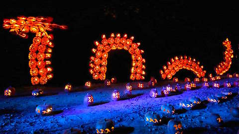 3 Pumpkin Festivals to Carve into Your Calendar This Fall