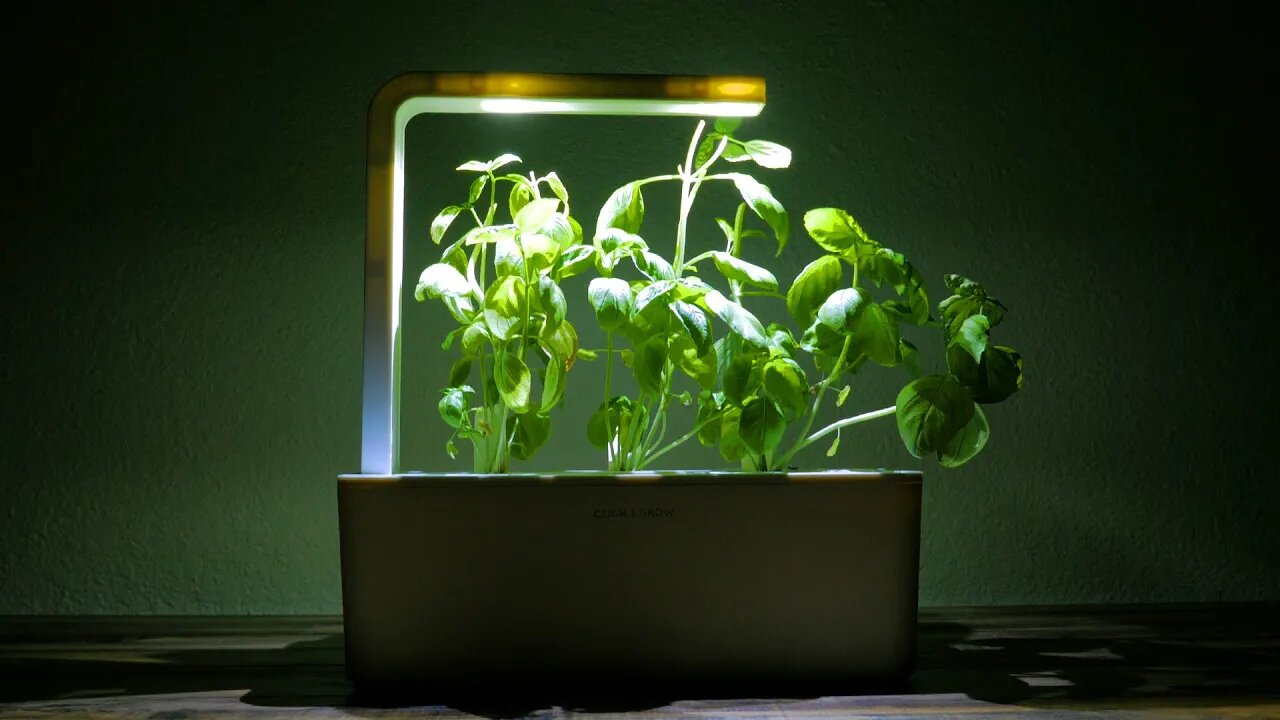 Click & Grow Smart Herb Garden Review!