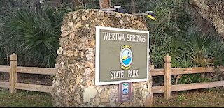 Wekiva Springs State Park Review and every campsite recorded