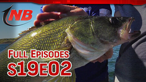 Season 19 Episode 2: The One Two Punch for Summer Reservoir Walleyes