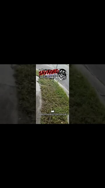 #crazycat #weirdos #crazypeople #raw #life #factsoverfear #truth