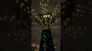 Singapore / Light show at Gardens by the Bay / light show #Nashvi #shorts