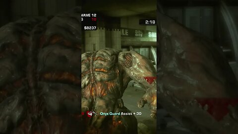 BERSERKER GOING HAM (Gears of War 3)