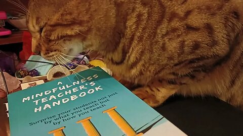 Asking Bedford about my mindfulness teacher's handbook 🐆