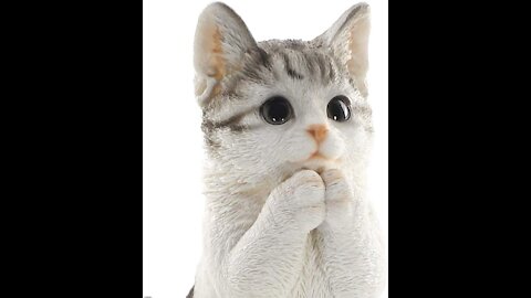 funny lovely cute animals