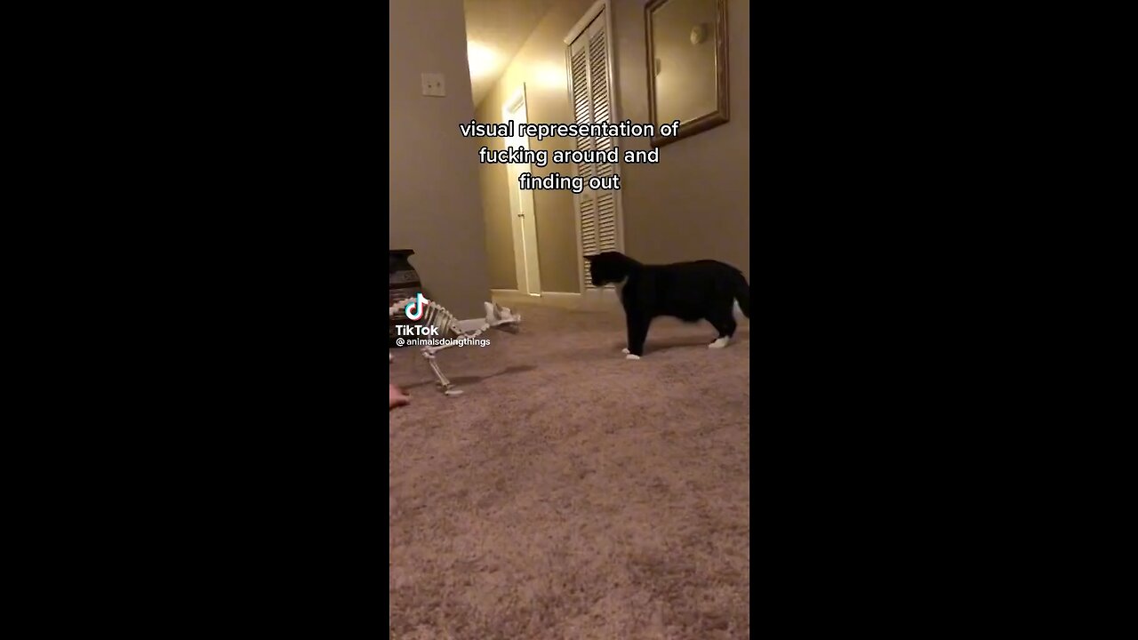 😂😂😂