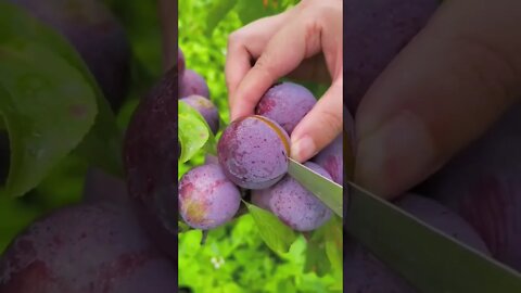 Visit a beautiful Grapes #short #youtubeshorts #viral