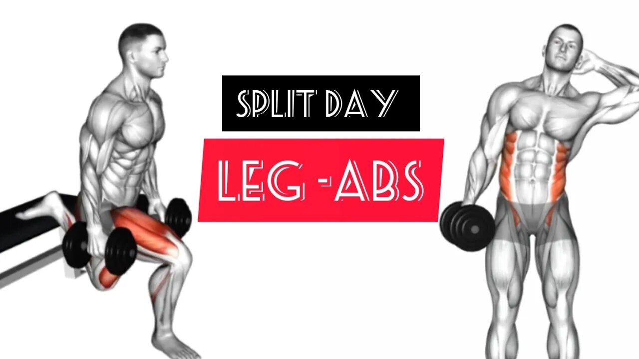 4-day program with dumbbells:3 day "Leg-abs"