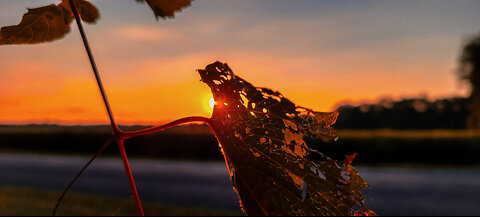 Kaleidescope Sunset